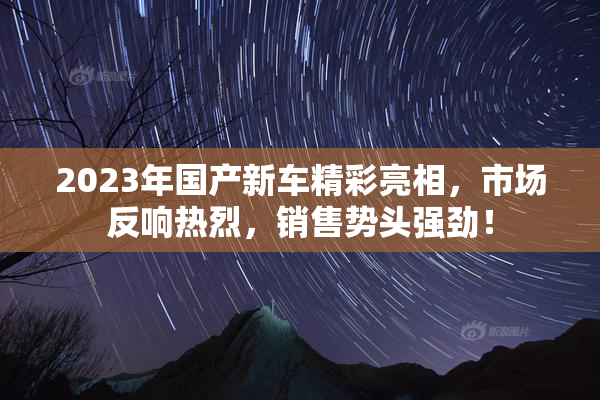 2023年国产新车精彩亮相，市场反响热烈，销售势头强劲！