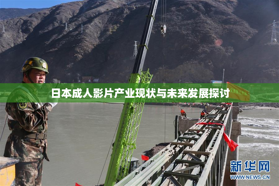 日本成人影片产业现状与未来发展探讨