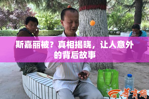 斯嘉丽被？真相揭晓，让人意外的背后故事