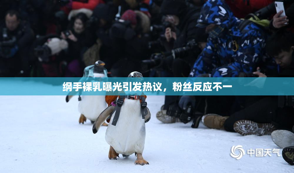 纲手裸乳曝光引发热议，粉丝反应不一