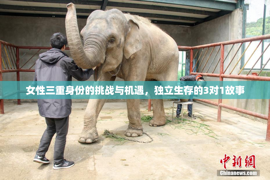 女性三重身份的挑战与机遇，独立生存的3对1故事