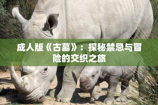 成人版《古墓》：探秘禁忌与冒险的交织之旅