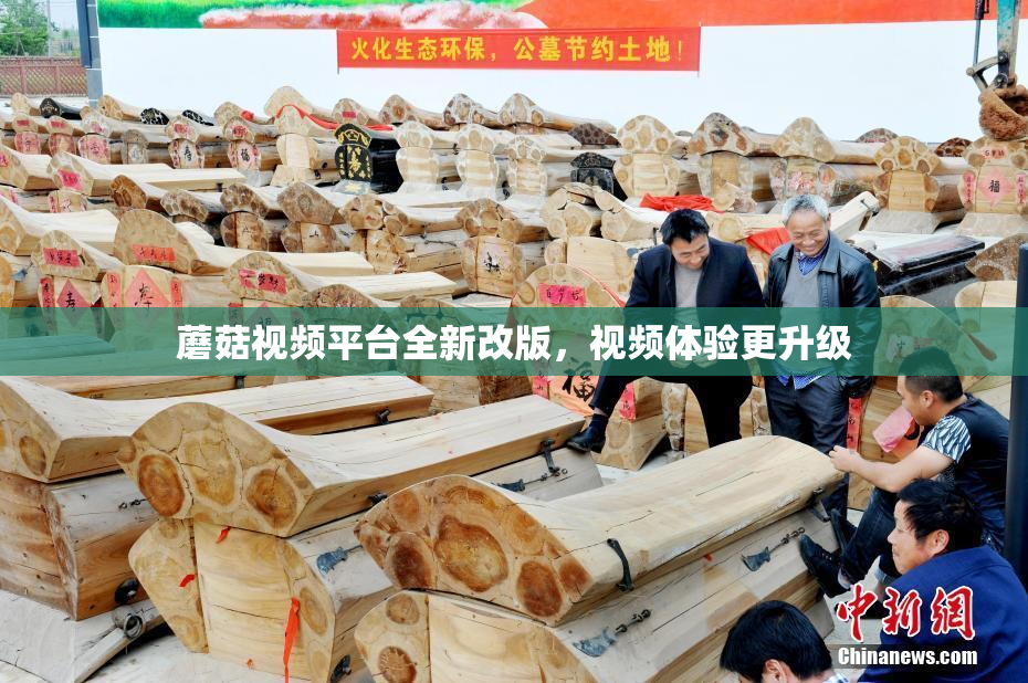 蘑菇视频平台全新改版，视频体验更升级