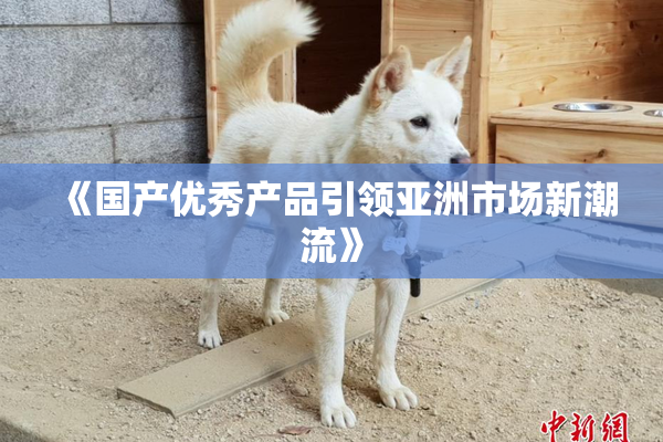 《国产优秀产品引领亚洲市场新潮流》