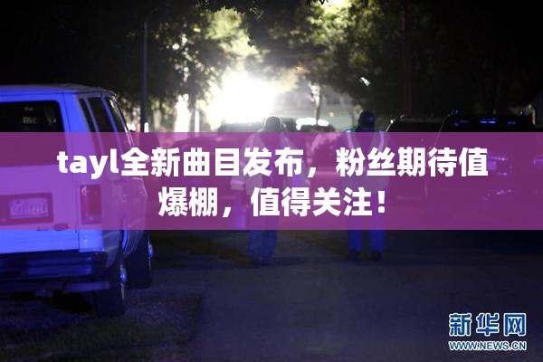 tayl全新曲目发布，粉丝期待值爆棚，值得关注！