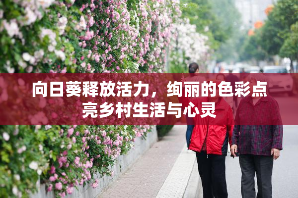 向日葵释放活力，绚丽的色彩点亮乡村生活与心灵