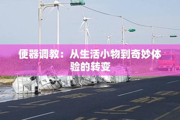 便器调教：从生活小物到奇妙体验的转变