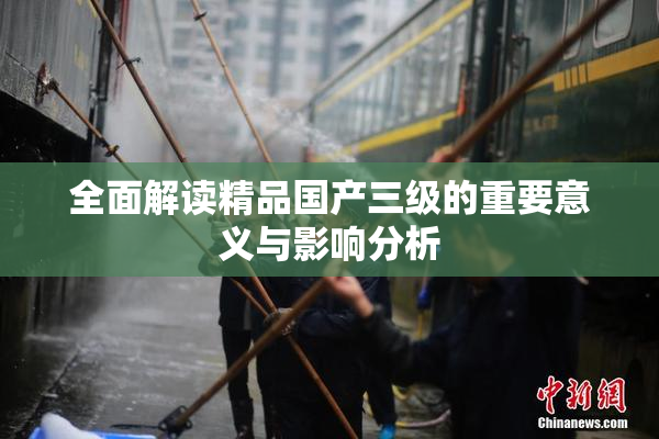 全面解读精品国产三级的重要意义与影响分析