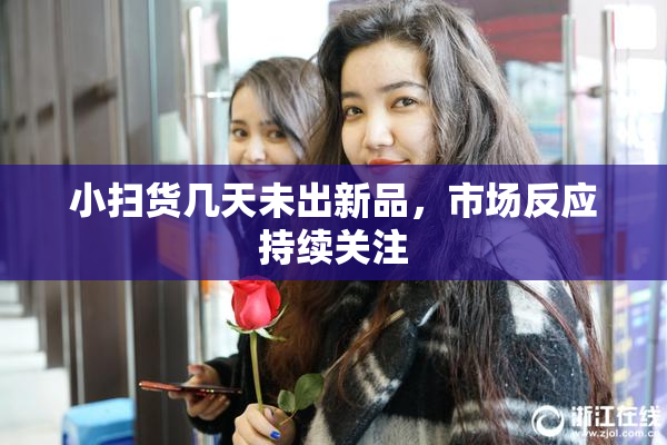 小扫货几天未出新品，市场反应持续关注