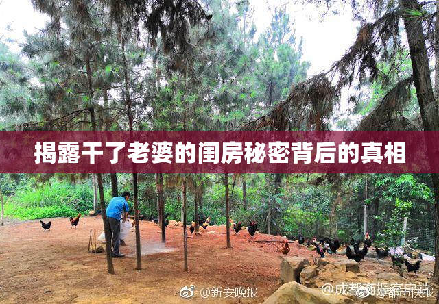 揭露干了老婆的闺房秘密背后的真相