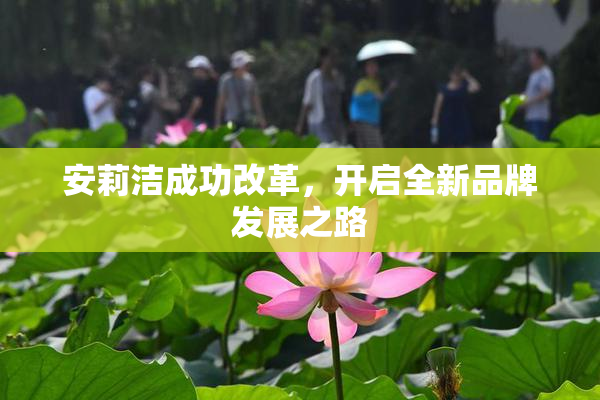 安莉洁成功改革，开启全新品牌发展之路