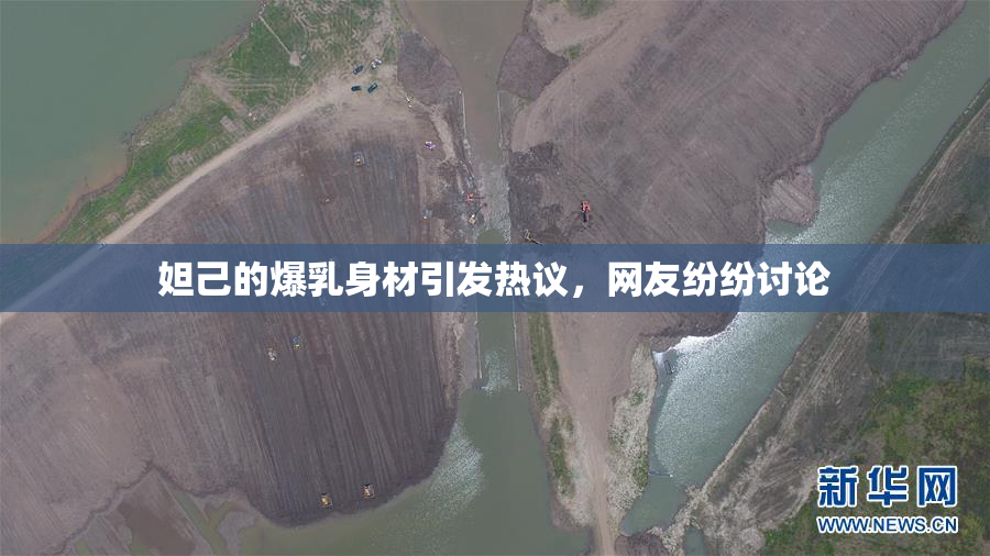 妲己的爆乳身材引发热议，网友纷纷讨论