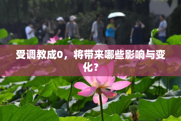受调教成0，将带来哪些影响与变化？