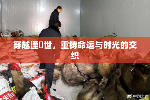 穿越湮婸世，重铸命运与时光的交织
