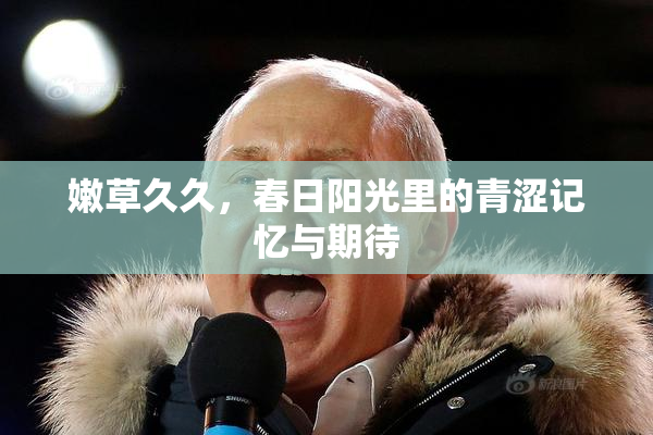 嫩草久久，春日阳光里的青涩记忆与期待