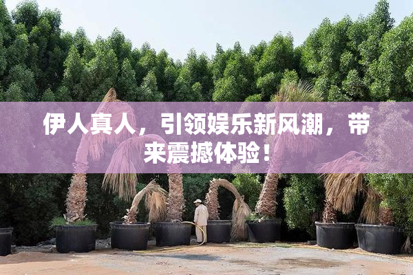 伊人真人，引领娱乐新风潮，带来震撼体验！