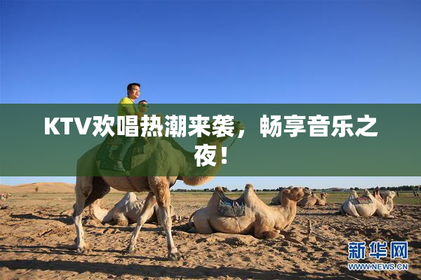 KTV欢唱热潮来袭，畅享音乐之夜！