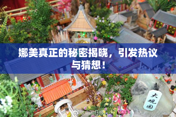 娜美真正的秘密揭晓，引发热议与猜想！