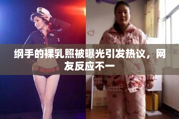 纲手的裸乳照被曝光引发热议，网友反应不一