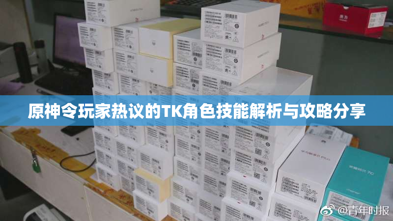 原神令玩家热议的TK角色技能解析与攻略分享