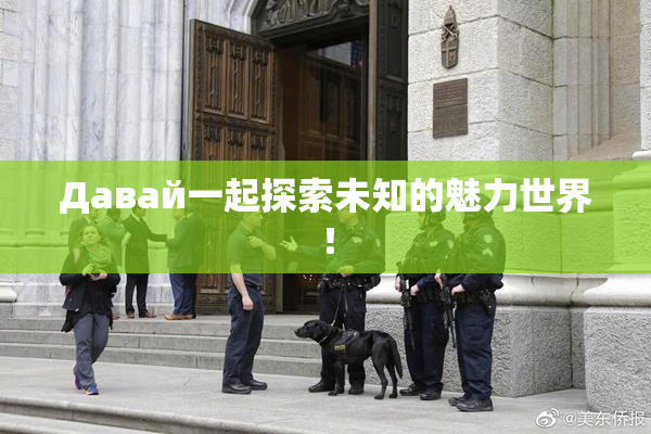 Давай一起探索未知的魅力世界！
