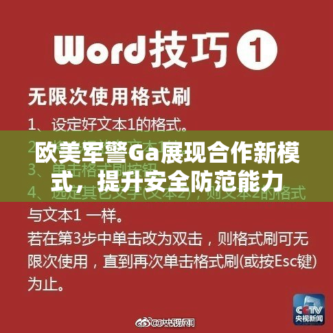 欧美军警Ga展现合作新模式，提升安全防范能力