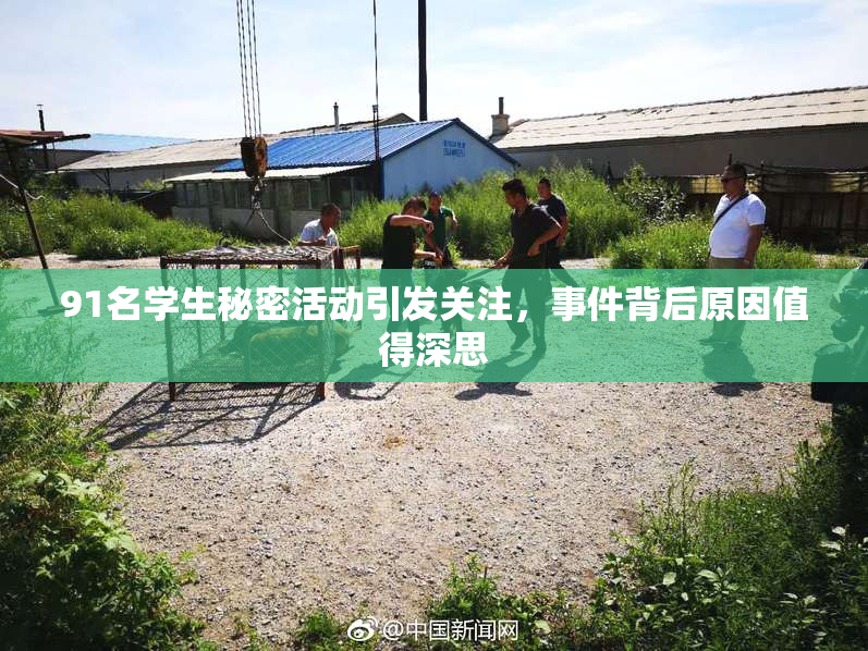 91名学生秘密活动引发关注，事件背后原因值得深思