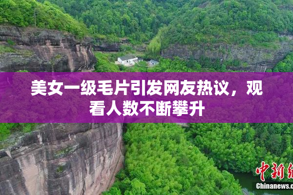 美女一级毛片引发网友热议，观看人数不断攀升