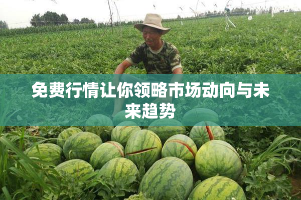 免费行情让你领略市场动向与未来趋势