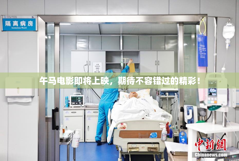 午马电影即将上映，期待不容错过的精彩！