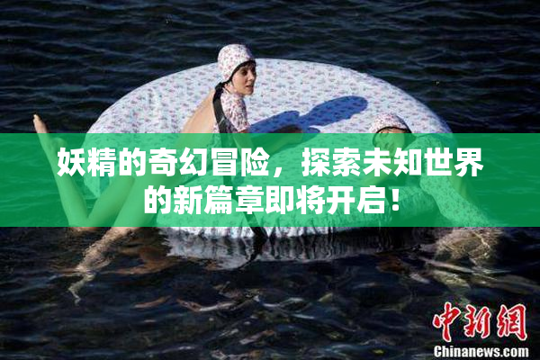 妖精的奇幻冒险，探索未知世界的新篇章即将开启！