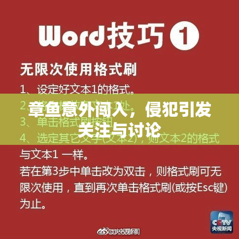 章鱼意外闯入，侵犯引发关注与讨论