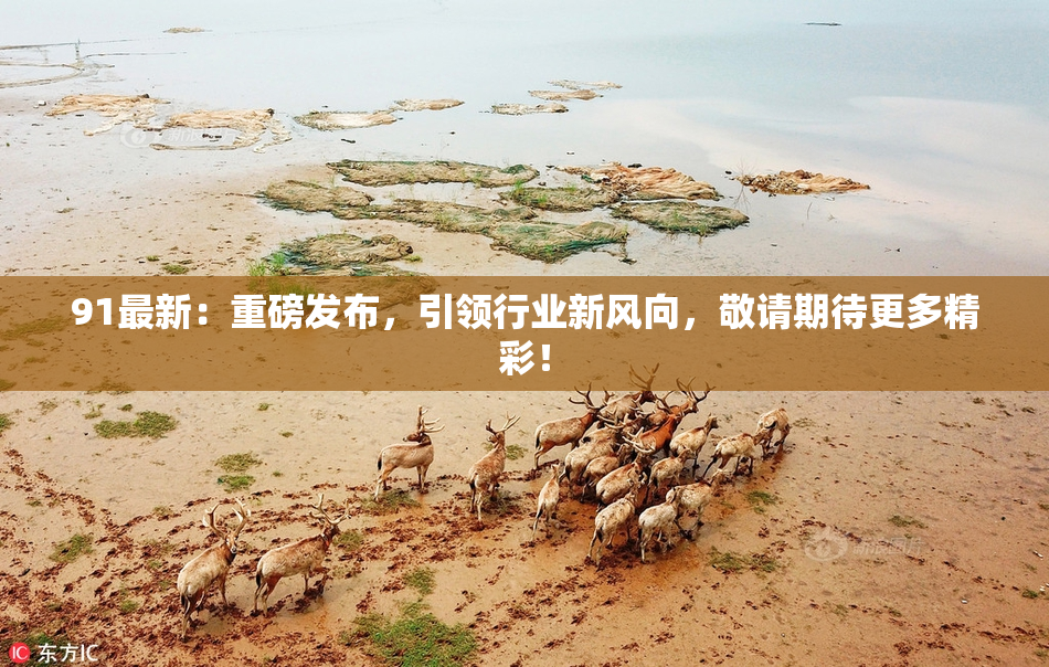 91最新：重磅发布，引领行业新风向，敬请期待更多精彩！