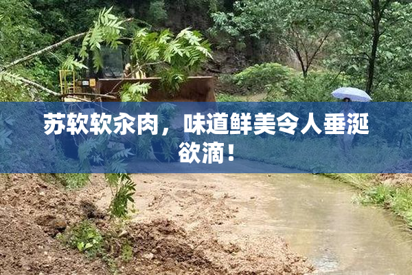 苏软软汆肉，味道鲜美令人垂涎欲滴！