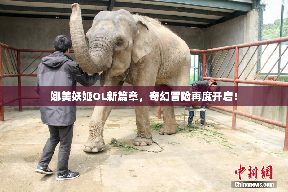 娜美妖姬OL新篇章，奇幻冒险再度开启！