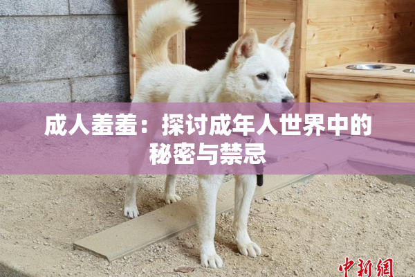 成人羞羞：探讨成年人世界中的秘密与禁忌