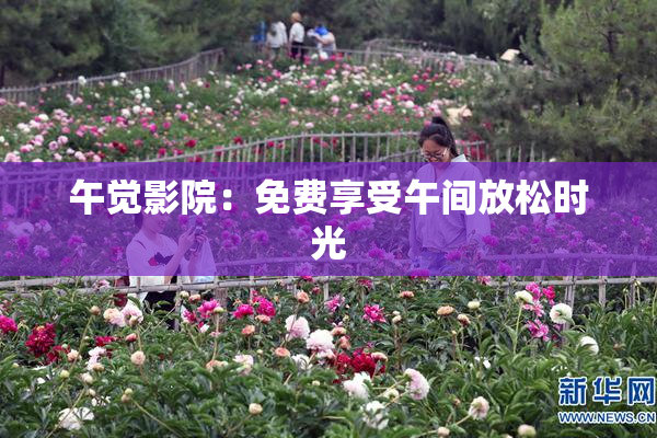午觉影院：免费享受午间放松时光