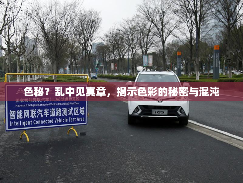 色秘？乱中见真章，揭示色彩的秘密与混沌