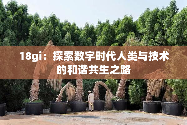 18gi：探索数字时代人类与技术的和谐共生之路