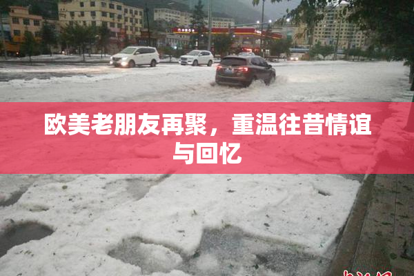 欧美老朋友再聚，重温往昔情谊与回忆