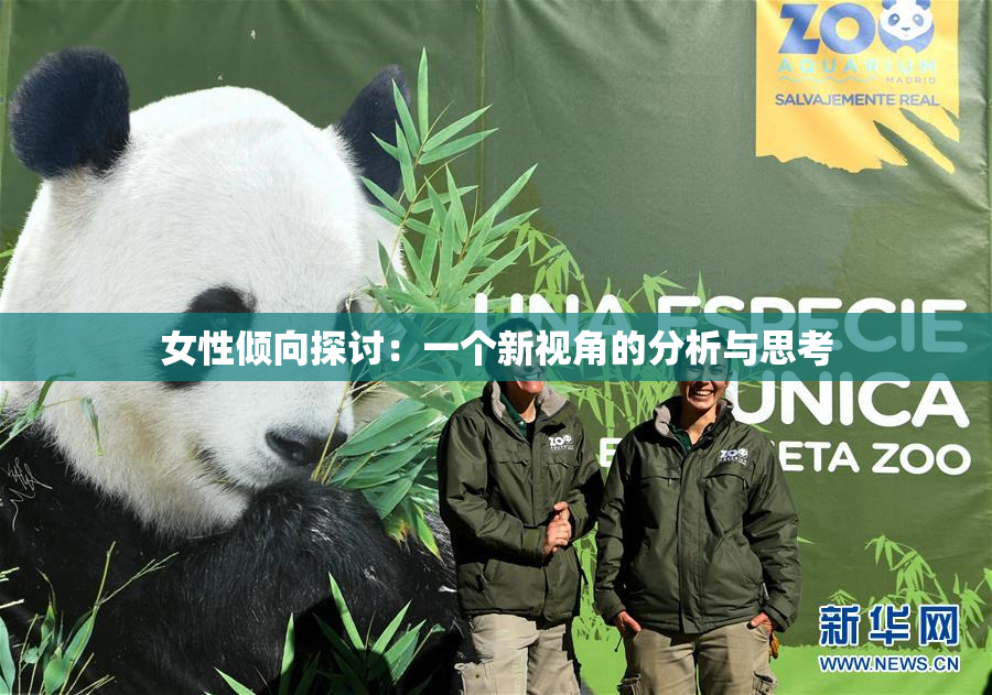 女性倾向探讨：一个新视角的分析与思考