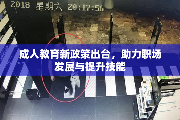成人教育新政策出台，助力职场发展与提升技能