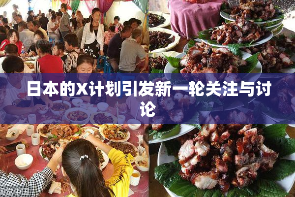 日本的X计划引发新一轮关注与讨论