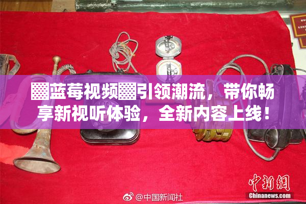 ▓蓝莓视频▓引领潮流，带你畅享新视听体验，全新内容上线！