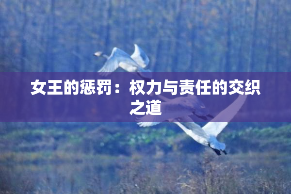 女王的惩罚：权力与责任的交织之道