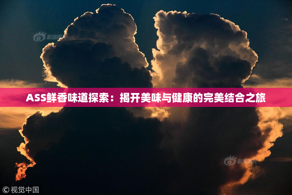 ASS鲜香味道探索：揭开美味与健康的完美结合之旅
