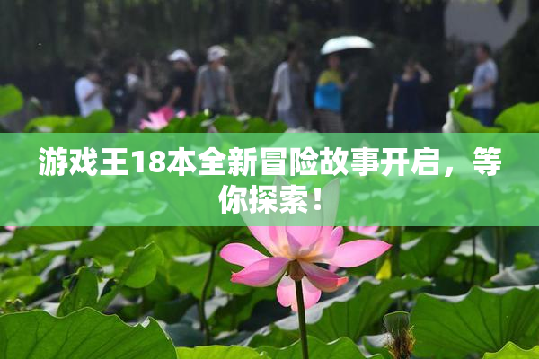 游戏王18本全新冒险故事开启，等你探索！