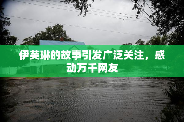伊芙琳的故事引发广泛关注，感动万千网友
