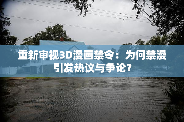 重新审视3D漫画禁令：为何禁漫引发热议与争论？