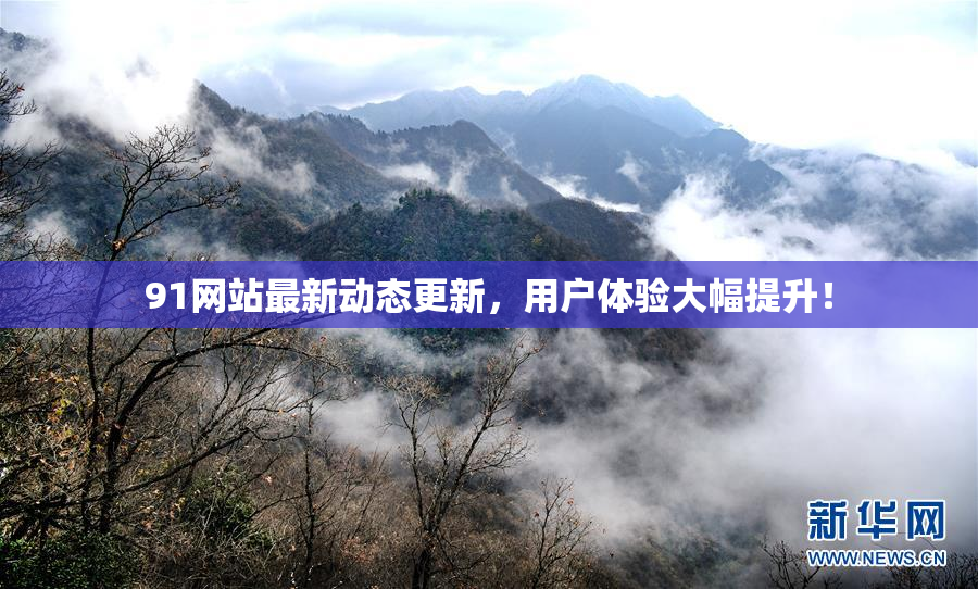 91网站最新动态更新，用户体验大幅提升！